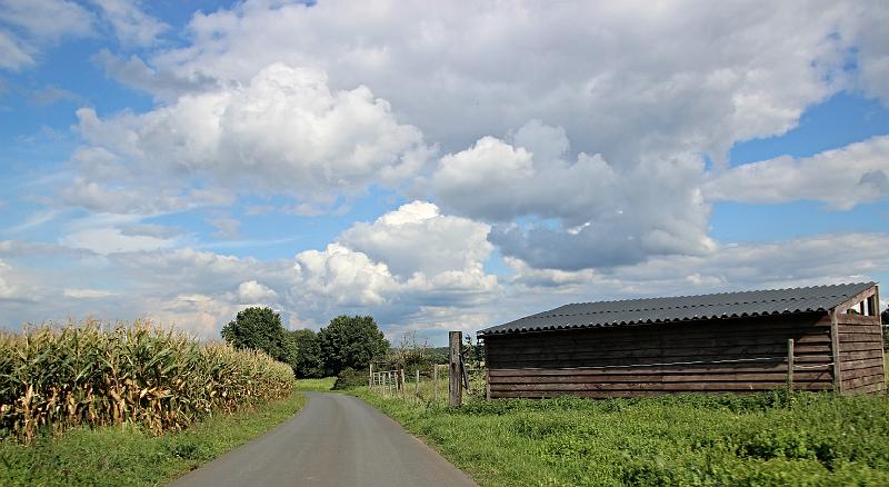 z=Puur Hageland  16-9-2017_ (213).JPG